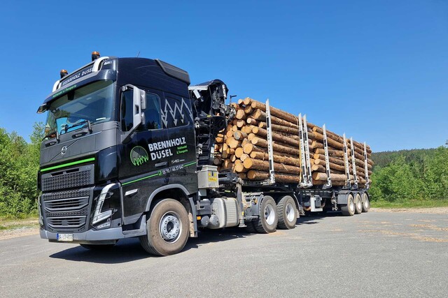 Bild von Holztransport LKW in Franken ☀️ Spedition Leroy Dü